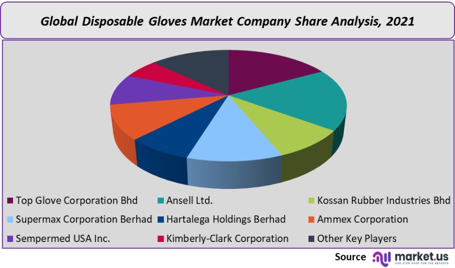 disposable gloves market company share analysis