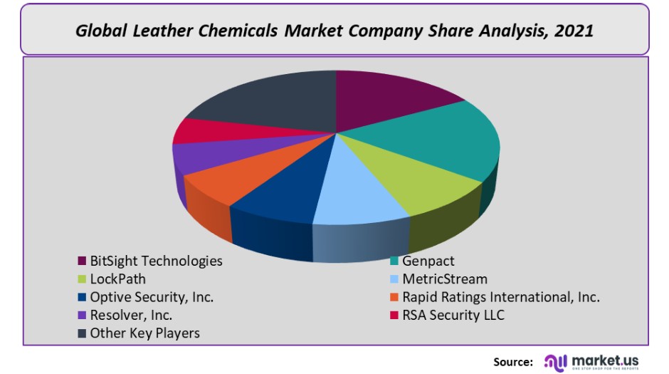 leather chemicals market company share analysis