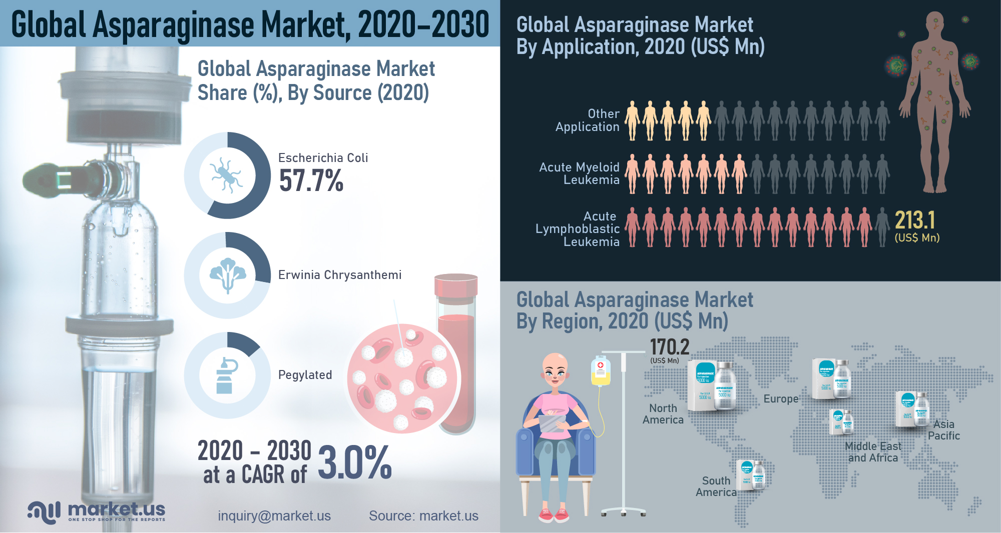 Global Asparaginase Market Infographics