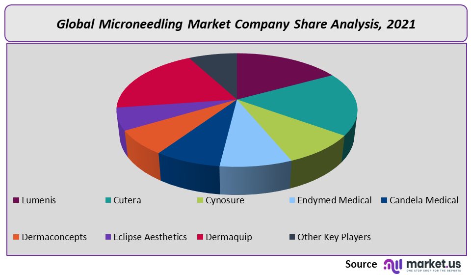 Microneedling Market Company Share